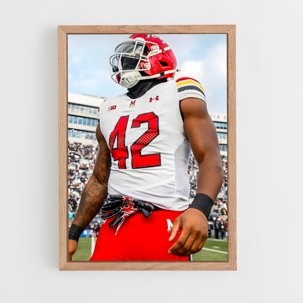 Poster Terrapins en Action – affiche Basketball (vue 4)